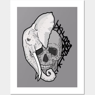 elephant skull Posters and Art